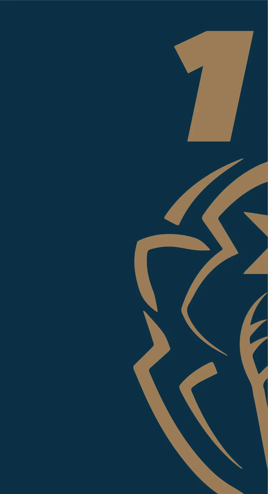 OnCase kryt pre Apple iPhone 13 Pro | design MAX WORLD CHAMPION